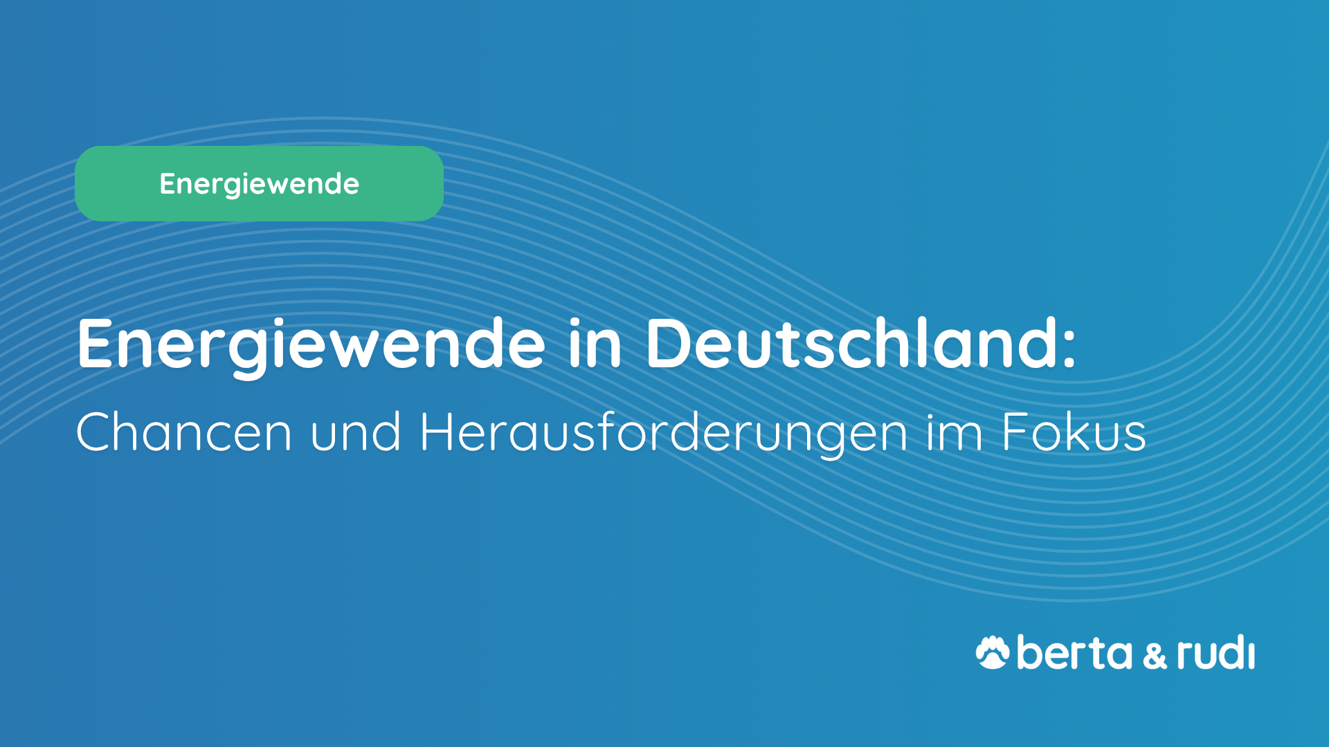 Die Energiewende in Deutschland: Chancen und Herausforderungen für die Energiewirtschaft im Fokus