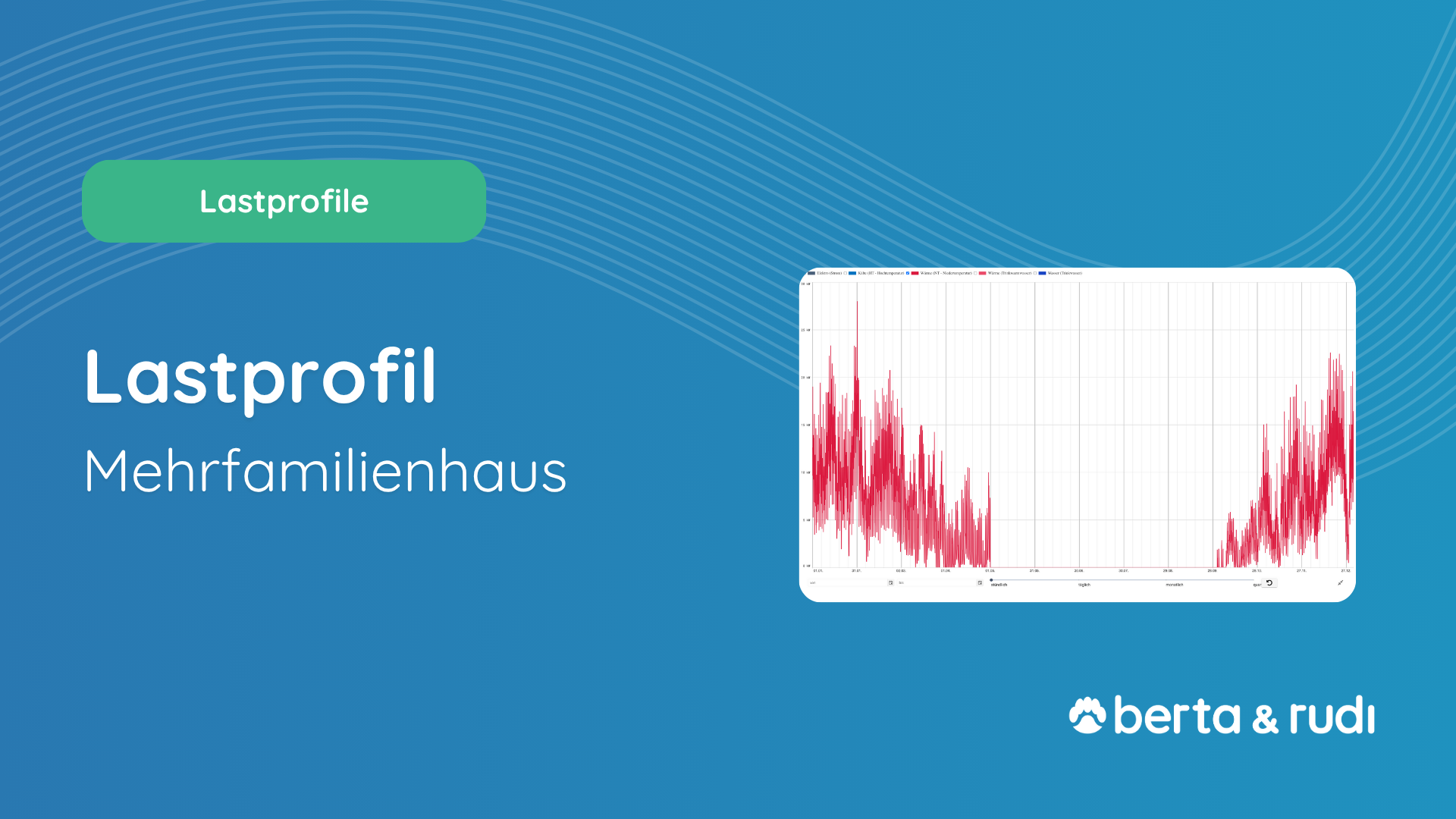 Lastprofile für Mehrfamilienhaus I berta & rudi Software I Lastgang für Mehrfamilienhaus