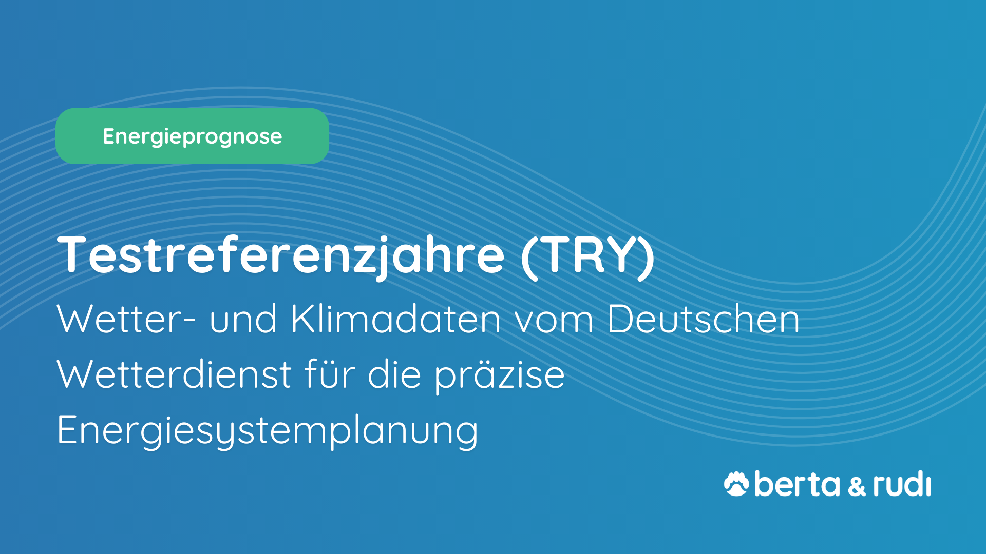 Testreferenzjahre (TRY) Wetter- und Klimadaten vom Deutschen Wetterdienst für die präzise Energiesystemplanung in berta & rudi