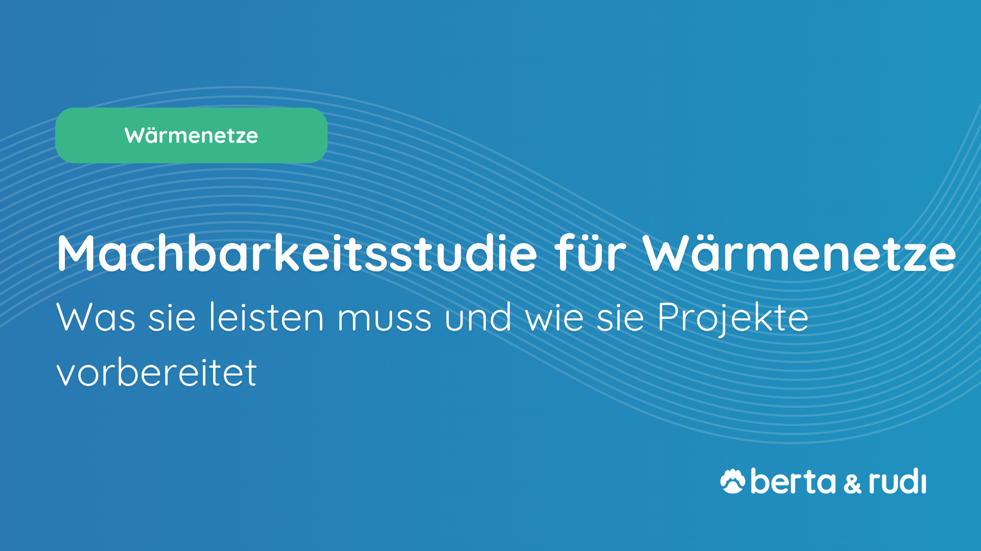 Was eine Machbarkeitsstudie für Wärmenetze leisten muss, welche Daten wichtig sind und wie sie BEW-Projekte fachlich und wirtschaftlich vorbereitet.