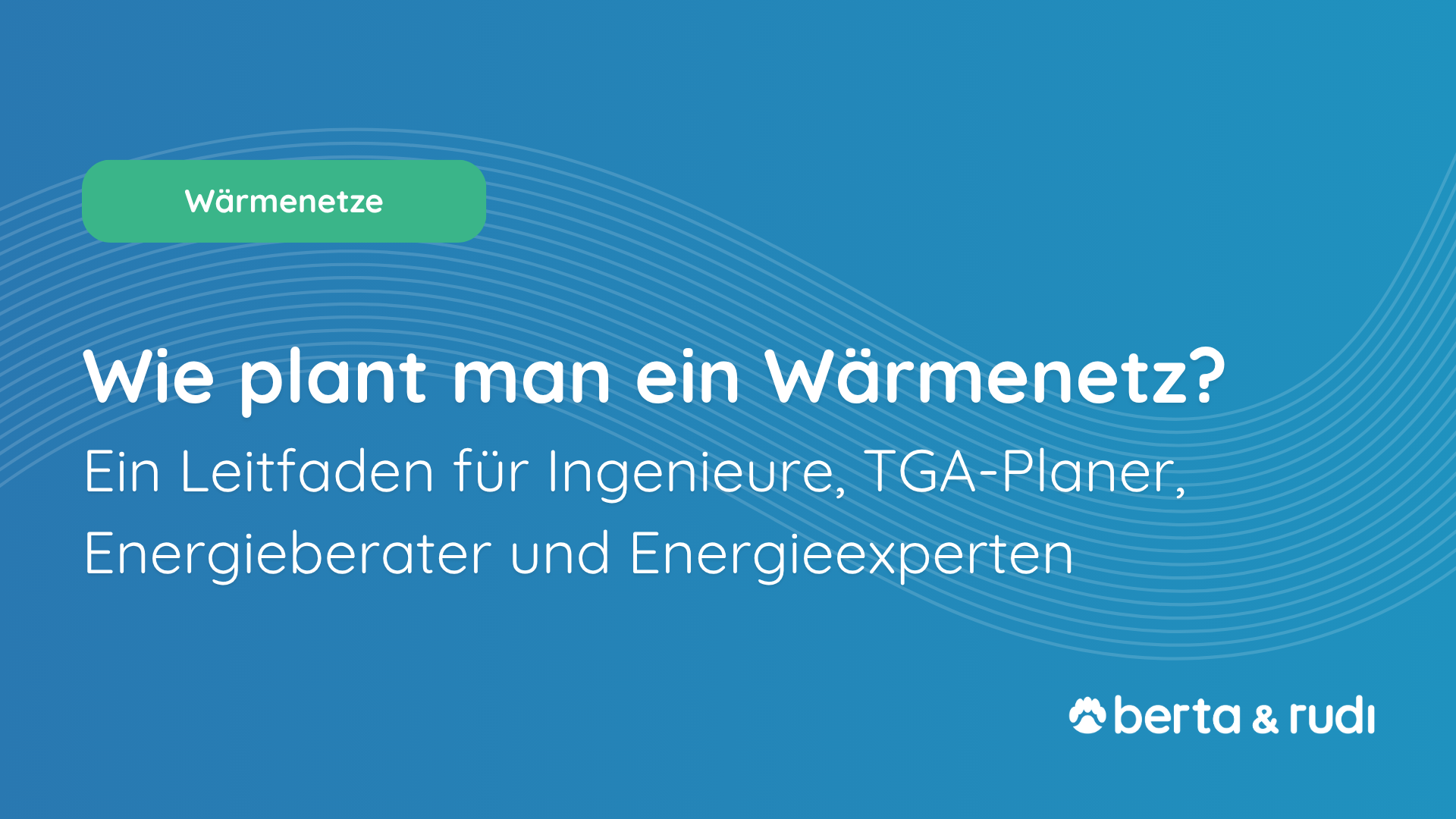 Wie plant man ein Wärmenetz? Leitfaden für Ingenieure, TGA-Planer, Energieberater und Energieexperten - von der Potenzialanalyse bis zur Inbetriebnahme.