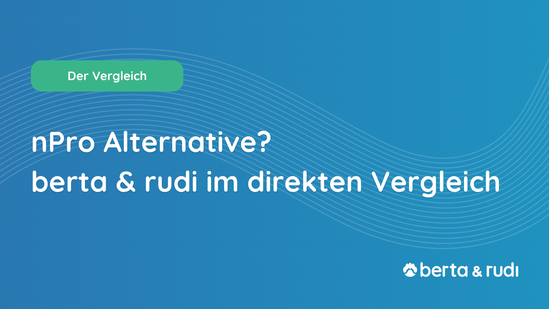 nPro Alternative: berta & rudi im Vergleich für die Energiesystemplanung